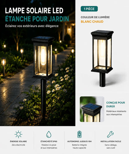 Lampe Solaire LED Étanche pour Jardin