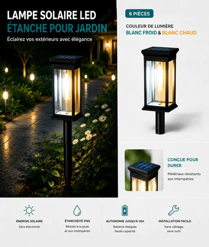 Lampe Solaire LED Étanche pour Jardin