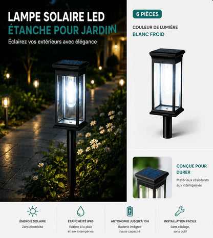 Lampe Solaire LED Étanche pour Jardin