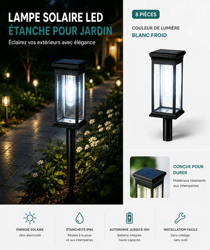 Lampe Solaire LED Étanche pour Jardin