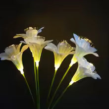 Lampe Solaire Fleur de Lys - Ambiance Magique Extérieure
