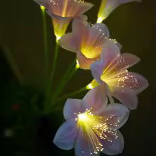 Lampe Solaire Fleur de Lys - Ambiance Magique Extérieure